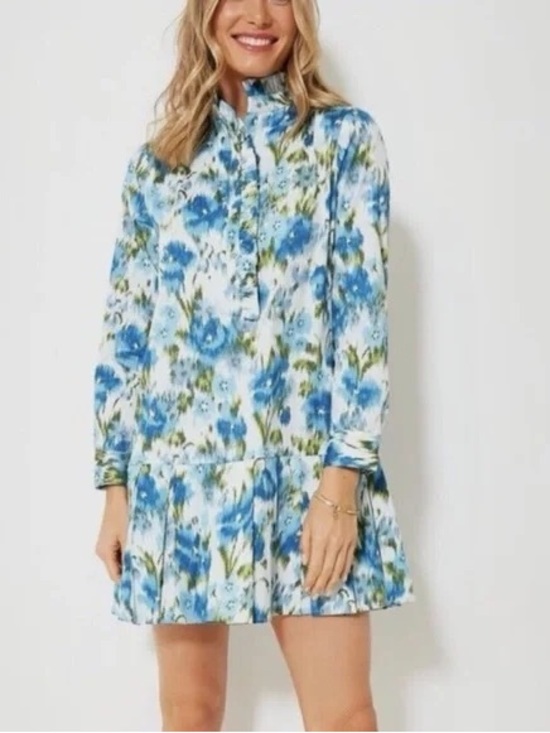 Tuckernuck Dresses & Skirts - Tuckernuck Blue Floral Tate Ruffle Hem Long Sleeve Dress Size L